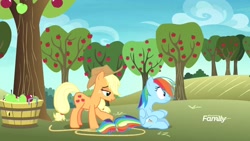 Size: 1920x1080 | Tagged: safe, derpibooru import, screencap, applejack, rainbow dash, earth pony, pegasus, pony, grannies gone wild, apple, apple tree, female, food, lasso, out of context, rope, sitting, surprised, sweet apple acres, tail, touch, tree, wide eyes