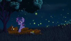 Size: 2400x1400 | Tagged: safe, artist:funnyfany, derpibooru import, twilight sparkle, unicorn twilight, oc, alicorn, pony, unicorn, alicorn oc, meteor, night, on back, stars, tree, unshorn fetlocks