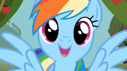 Size: 1920x1080 | Tagged: safe, derpibooru import, screencap, rainbow dash, pegasus, pony, the ticket master, apple tree, cute, dashabetes, female, happy, mare, solo, tree