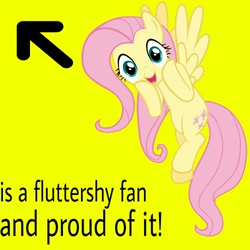 Size: 500x500 | Tagged: safe, fluttershy, pegasus, pony, female, mare, solo, text, yellow