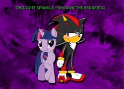 Size: 3500x2500 | Tagged: safe, artist:lightdegel, derpibooru import, twilight sparkle, blushing, crossover, crossover shipping, female, interspecies, love, male, shadow the hedgehog, shadtwi, shipping, sonic the hedgehog (series), straight