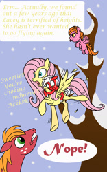 Size: 1200x1920 | Tagged: safe, artist:pampoke, big macintosh, fluttershy, oc, oc:lacey rose, oc:pink lady, earth pony, pegasus, pony, an apple and four angels, female, filly, fluttermac, male, offspring, parent:big macintosh, parent:fluttershy, parents:fluttermac, riding, shipping, stallion, straight, tongue out