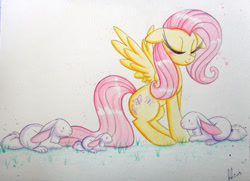 Size: 1232x891 | Tagged: safe, artist:prettypinkpony, fluttershy, pegasus, pony, rabbit, animal, eyes closed, grass, solo, spread wings, traditional art
