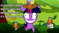 Size: 1280x720 | Tagged: safe, derpibooru import, edit, screencap, twilight sparkle, lesson zero, drink, image macro, insanity, literally twilight snapple, pun, snapple, solo, text, twilight snapple