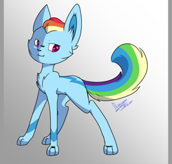 Size: 1024x978 | Tagged: safe, derpibooru import, rainbow dash, cat, solo, species swap