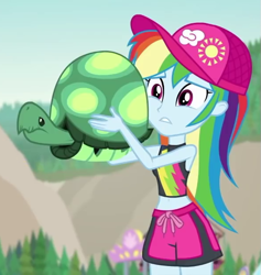 Size: 591x624 | Tagged: safe, derpibooru import, screencap, rainbow dash, tank, tortoise, aww... baby turtles, better together, equestria girls, cropped, female