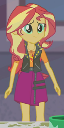 Size: 256x511 | Tagged: safe, screencap, sunset shimmer, better together, display of affection, equestria girls, cropped, solo