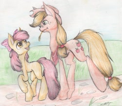 Size: 1024x893 | Tagged: safe, artist:alcidence, apple bloom, applejack, earth pony, pony, female, mare, traditional art