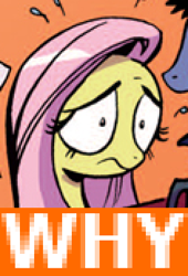 Size: 236x348 | Tagged: safe, idw, fluttershy, pegasus, pony, image macro, low quality, meme, reaction image, solo, why.jpg