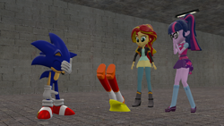Size: 1366x768 | Tagged: safe, artist:tmntlonewolf, sci-twi, sunset shimmer, twilight sparkle, oc, oc:sunset rose, equestria girls, 3d, crossover, facepalm, sonic the hedgehog, sonic the hedgehog (series)