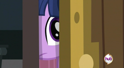 Size: 853x466 | Tagged: safe, derpibooru import, screencap, twilight sparkle, a canterlot wedding, door, hub logo, solo, voyeur