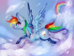 Size: 1600x1200 | Tagged: safe, artist:saoiirse, derpibooru import, rainbow dash, pegasus, pony, detailed background, female, mare, solo