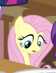 Size: 428x556 | Tagged: safe, derpibooru import, screencap, fluttershy, rarity, twilight sparkle, pegasus, pony, unicorn, ponyville confidential, animated, cropped, floppy ears, offscreen character, reaction image, shrinking, solo focus