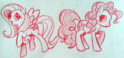Size: 2688x1257 | Tagged: safe, artist:naara-ashley, fluttershy, pinkie pie, earth pony, pegasus, pony, female, mare, traditional art