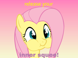 Size: 800x600 | Tagged: safe, fluttershy, pegasus, pony, cute, gradient background, puffy cheeks, shyabetes, solo, squee