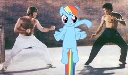 Size: 649x381 | Tagged: safe, derpibooru import, rainbow dash, pegasus, pony, bruce lee, chuck norris, ponies in movies