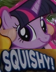 Size: 500x645 | Tagged: safe, derpibooru import, twilight sparkle, expand dong, fash'ems, special face, squishy