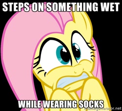 Size: 500x457 | Tagged: safe, fluttershy, pegasus, pony, female, image macro, mare, meme, solo