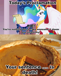 Size: 1021x1263 | Tagged: safe, princess celestia, alicorn, pony, celestia's proclamation, exploitable meme, meme, pumpkin pie