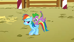 Size: 1280x720 | Tagged: safe, derpibooru import, screencap, rainbow dash, spike, dragon, pegasus, pony, fall weather friends