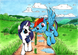 Size: 2000x1408 | Tagged: safe, artist:ecmonkey, derpibooru import, rainbow dash, rarity, pegasus, pony, unicorn, flying, road, talking, traditional art