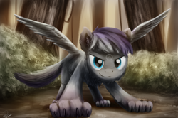 Size: 1438x956 | Tagged: safe, artist:anticular, derpibooru import, oc, oc only, hengstwolf, pegasus, pony, werewolf, wolf, wolf pony, commission, looking at you, nature, scenery, solo, spread wings, wings