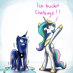 Size: 1200x1200 | Tagged: safe, artist:anticular, derpibooru import, princess celestia, princess luna, alicorn, pony, ask sunshine and moonbeams, bipedal, cold, dialogue, female, freezing, happy, ice bucket challenge, mare, open mouth, royal sisters, shivering, water, wet, wet mane