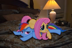 Size: 2464x1632 | Tagged: safe, artist:oppositebros, derpibooru import, fluttershy, rainbow dash, bed, irl, lamp, photo, ponies in real life, pony pile, window