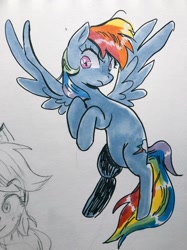 Size: 958x1280 | Tagged: safe, artist:nounoo, derpibooru import, rainbow dash, pegasus, pony, female, looking at you, mare, traditional art