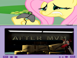 Size: 1600x1200 | Tagged: safe, fluttershy, pegasus, pony, 3d, after mvm, exploitable meme, mann vs machine, meme, obligatory pony, sad, source filmmaker, team fortress 2, tv meme, video game, youtube, youtube link