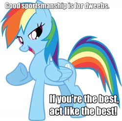 Size: 1600x1581 | Tagged: safe, derpibooru import, edit, rainbow dash, pegasus, pony, advice, cocky, image macro, meme, mouthpiece, solo, text edit