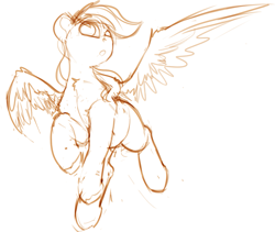 Size: 1363x1153 | Tagged: safe, artist:yoditax, derpibooru import, rainbow dash, pegasus, pony, female, mare, monochrome, simple background, sketch, solo, spread wings, white background, wings