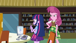 Size: 1023x573 | Tagged: safe, derpibooru import, cheerilee, twilight sparkle, equestria girls, equestria girls (movie), computer