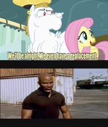 Size: 640x756 | Tagged: safe, bulk biceps, fluttershy, pegasus, pony, rainbow falls, blonde, blonde mane, blonde tail, blue eyes, curtain, dexter, ear piercing, exploitable meme, female, james doakes, looking to side, looking to the right, male, mare, meme, open mouth, piercing, pink mane, pink tail, red eyes, replacement meme, smiling, snow, snowflake, spread wings, stallion, surprise motherfucker, text, white coat, wings, yellow coat