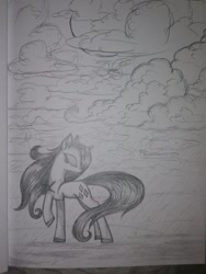 Size: 1024x1365 | Tagged: safe, artist:penkatshi, rarity, pony, unicorn, monochrome, rain, sketch, traditional art, wet, wet mane, wet mane rarity