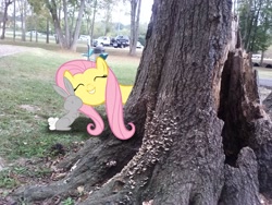 Size: 2592x1944 | Tagged: safe, artist:datnaro, artist:tokkazutara1164, fluttershy, rabbit, cuddling, cute, irl, photo, ponies in real life, snuggling, suv, tree, truck, vector