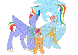 Size: 1500x1050 | Tagged: safe, artist:dragonseekerart, derpibooru import, bow hothoof, rainbow dash, scootaloo, windy whistles, pegasus, pony, clothes, eyes closed, family, female, flying, male, mare, missing cutie mark, nuzzling, scootalove, simple background, smiling, spread wings, stallion, transparent background, watermark, wings