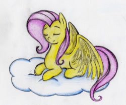 Size: 976x818 | Tagged: safe, artist:otto720, fluttershy, pegasus, pony, female, mare, pink mane, solo, yellow coat