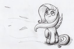 Size: 900x606 | Tagged: safe, artist:otto720, fluttershy, pegasus, pony, female, mare, monochrome, solo