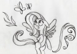 Size: 1024x724 | Tagged: safe, artist:otto720, fluttershy, pegasus, pony, female, mare, monochrome, solo