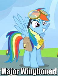 Size: 546x711 | Tagged: safe, derpibooru import, edit, edited screencap, screencap, rainbow dash, pegasus, pony, wonderbolts academy, badge, clothes, cropped, female, goggles, grin, image macro, mare, meme, saddle bag, smiling, solo, spread wings, squee, uniform, wingboner, wings, wonderbolt trainee uniform, wonderbolts, wonderbolts uniform