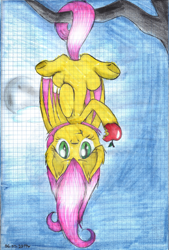 Size: 1024x1515 | Tagged: safe, artist:lillyflover, fluttershy, bat pony, pony, flutterbat, graph paper, race swap, solo, traditional art