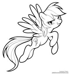 Size: 752x800 | Tagged: safe, artist:lindsay cibos, derpibooru import, rainbow dash, pegasus, pony, black and white, female, flying, grayscale, grin, looking at you, mare, monochrome, simple background, smiling, solo, white background