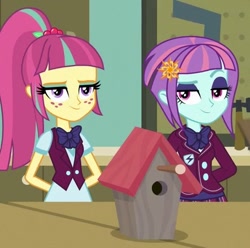 Size: 453x450 | Tagged: safe, screencap, sour sweet, sunny flare, equestria girls, friendship games, adoraflare, bird house, cropped, cute, smirk, smug, sourbetes