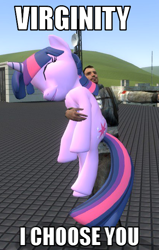 Size: 418x656 | Tagged: safe, derpibooru import, twilight sparkle, human, 3d, gmod, image macro