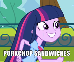 Size: 610x508 | Tagged: safe, derpibooru import, edit, edited screencap, screencap, twilight sparkle, equestria girls, equestria girls (movie), cropped, g.i. joe, image macro, solo