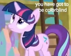 Size: 720x569 | Tagged: safe, edit, edited screencap, editor:axal-5, screencap, starlight glimmer, pony, unicorn, a matter of principals, color blindness, female, ladder, mare, not twilight sparkle, text, text edit, twilight wig, wig