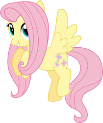 Size: 2519x3000 | Tagged: safe, artist:katequantum, fluttershy, pegasus, pony, simple background, solo, transparent background, vector