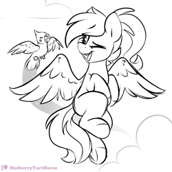 Size: 2000x2000 | Tagged: safe, artist:mulberrytarthorse, oc, oc only, oc:acela, bird, pegasus, pony, female, flying, mare, monochrome, one eye closed, patreon, patreon logo, pet, smiling, solo