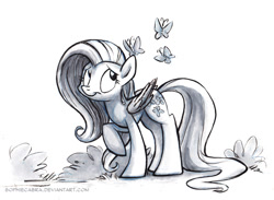 Size: 800x586 | Tagged: safe, artist:kenket, artist:spainfischer, fluttershy, butterfly, pegasus, pony, monochrome, solo